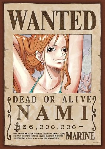 ONE PIECE WANTED Book NAMI 208 Piece Jigsaw Puzzle ENSKY