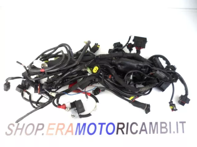 Impianto Cablaggio Gruppo Elettrico Principale Ducati Multistrada 1200 S 2010