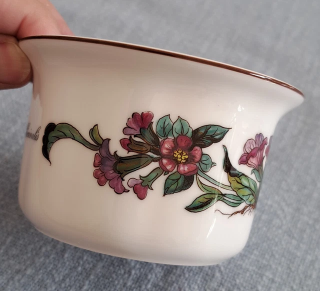 1 Villeroy & Boch Vilbofour Botanica feuerfeste Schüssel Auflaufform Kochgeschir