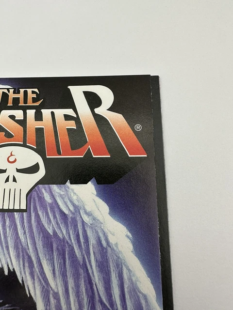 Punisher 1-4 Vol.4 Marvel Comic Set Complete Marvel Knights 1998 11