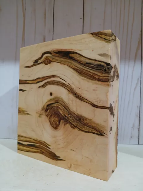 XL Wicked FIGURED AMBROSIA Maple Burl wood, STABILIZING, EPOXY WOOD turning wood