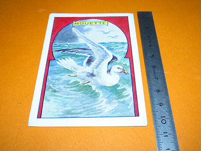 CHROMO 1930-1939 BON POINT ECOLE OISEAU PASSEREAU ROSSIGNOL  ANIMAUX 