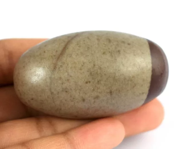 Natural 2.03" Shiva Lingam Pious Healing Stone 62.51 Gram Crystal Polish