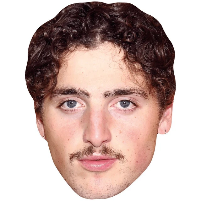 Donny Osmond (Young) Maschera Di Cartone Realistica Celebrity Cutouts - Accessorio Per Feste E Scherzi