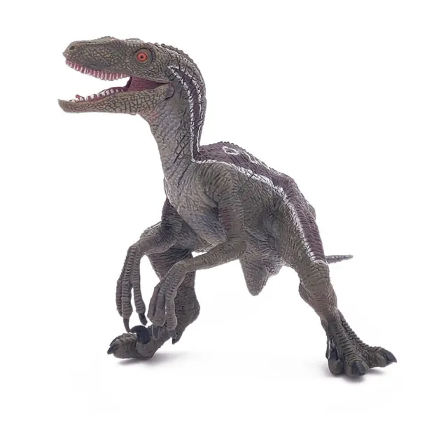 PAPO Dinosaurs Velociraptor Toy Figure, Multi-colour (55023)