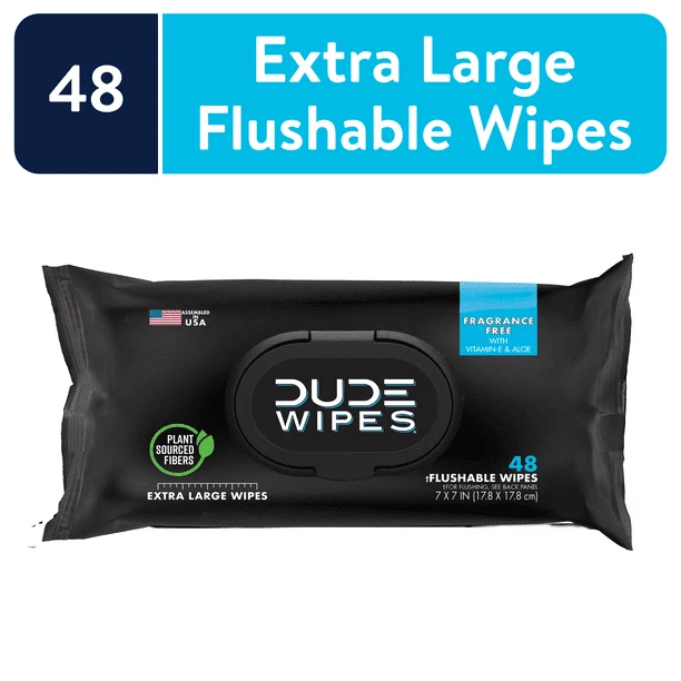 Dude Wipes Mint Chill Flushable Wipes (48 Count)