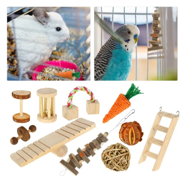 Lot de 5 jouets pour hamster en bois,Cachette pour  maison,Bricolage,Balançoire et jouet d'entraînement,Cage,aire de jeu pour  souris de course, rat et hamster nain : : Animalerie