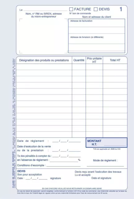 [Ref:19550] ELVE Manifold AUTO-ENTREPRENEUR Facture/Devis 21 x 14 cm Vertical 2