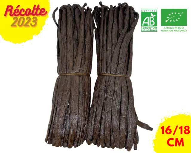 10 Kg GOUSSES DE VANILLE BOURBON de MADAGASCAR 16/18 cm PREMIUM