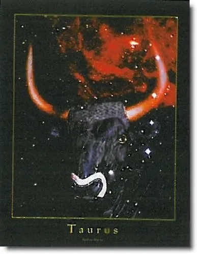 Taurus - Zodiac Sign Astrology Horoscope Wall Art Print Poster (16x20)