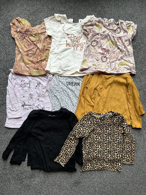 Baby Girls Top Bundle 9-12 Months (mainly Next)