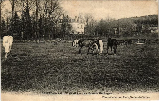 CPA NESLES-la-VALLEY - Les Grands Herbages (350193)