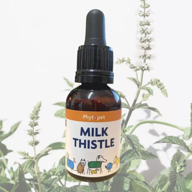 Phytopet Milk Thistle For Liver & Gall Bladder Support 30ml Aids Liver function
