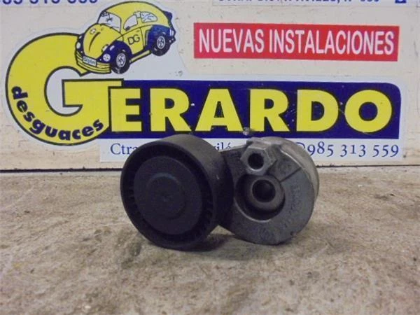 Galet Tendeur Courroie Accessoire Renault Kangoo I (F/Kc0)(2003->) 1.5 Alize [1,