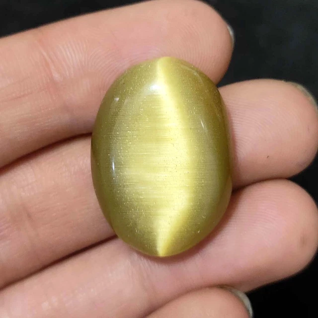 43.95 Cts Natural BI Color Cat's Eye  Cab Shape  Excellent  Gemstone