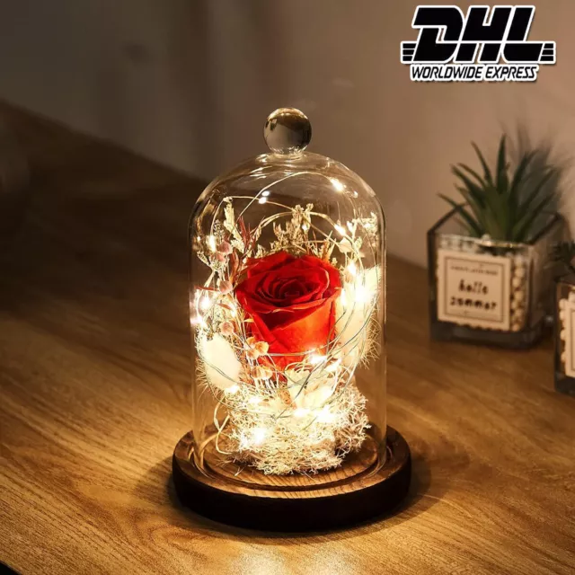 Ewige Rose im Glas Led Licht Geburtstag Vatertag Liebesgeschenk stilwohnen DE