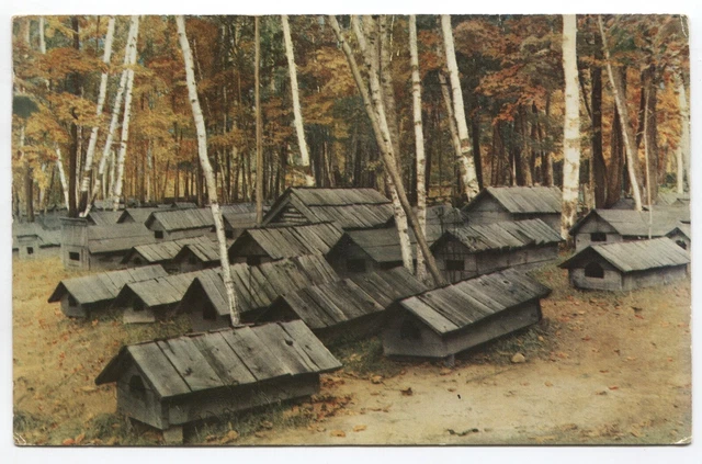Crystal Falls, Iron River, MI-Michigan, Indian Cemetery, Vintage Chrome Postcard