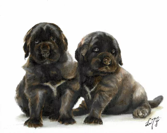 ❈ Original Oil Portrait Painting LEONBERGER Artist Signed Puppy Dog Art BLACK