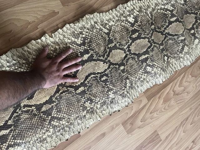 PYTHON TAXIDERMY SKIN Giant Snake Hide Leather $2,000.00 - PicClick