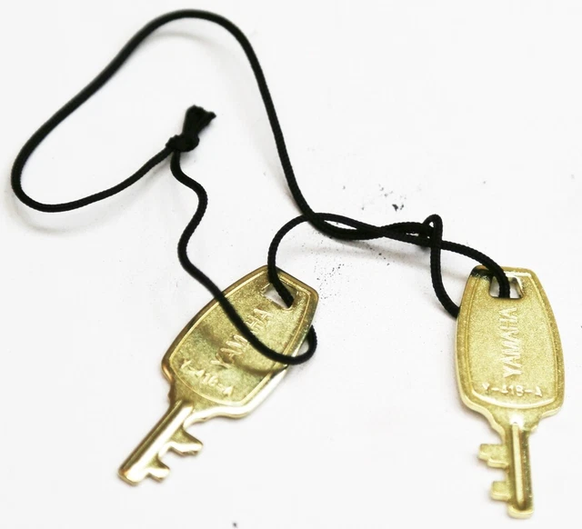 YAMAHA TRUMPET/TROMBONE/EUPHONIUM CASE Latch Key NEW! Ships Fast! U3 £