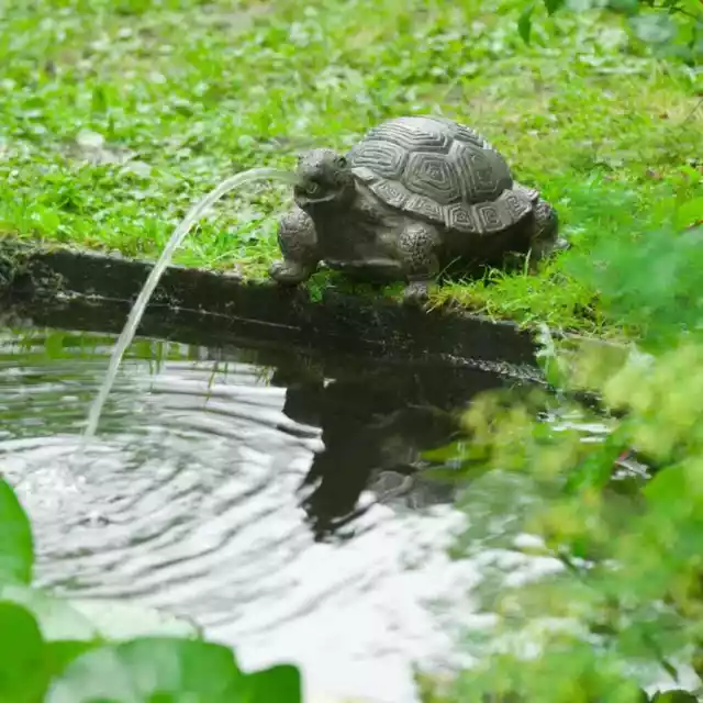 Ubbink Fontaine de jardin Ã  cracheur Tortue