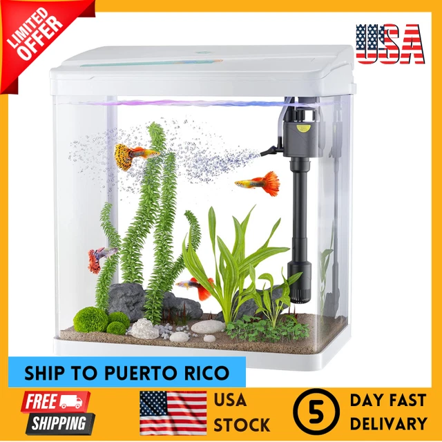 3 in 1 Fish Tank with Filter and Light Betta Aquarium Fish Tank Glass 3 Gallon