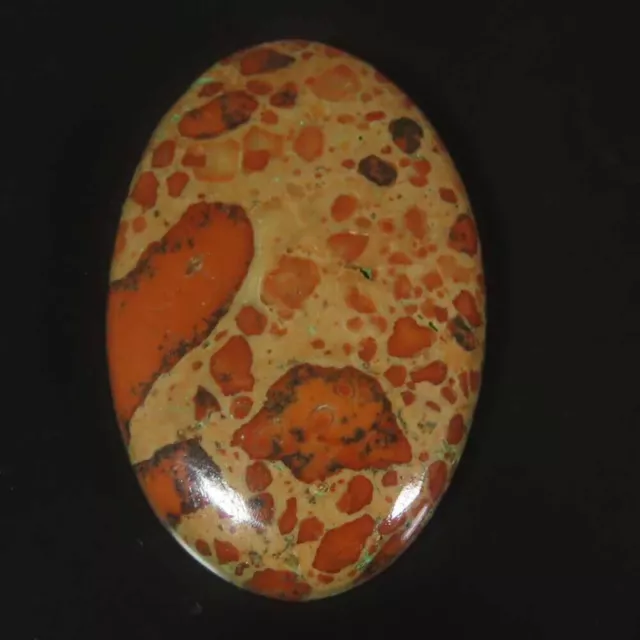 62.10Cts.100%Natural Amazing Apple Fossil Oval Cabochon 28x43x6mm Loose Gemstone