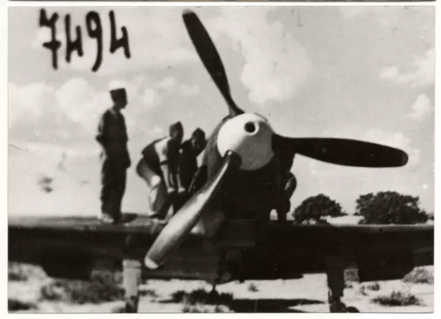 1942/45 Falco Ii, Re 2001-Foto D'archivio Aeronautica Militare Italiana 13X18