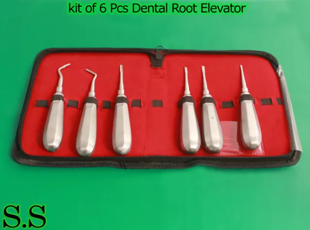 Kit OF 6 Pcs Dental Root Elevator Straight Surgery Extracting Instruments