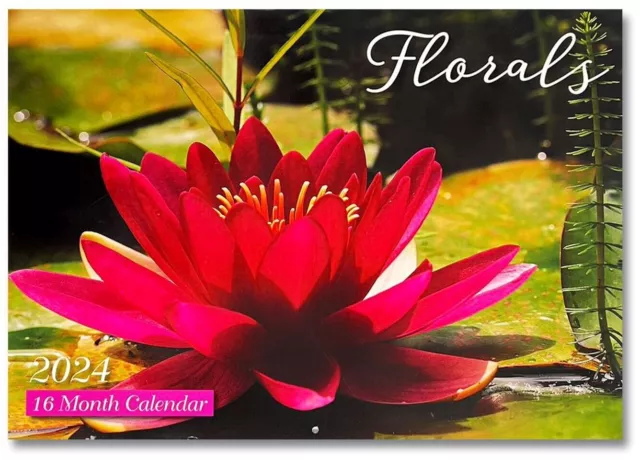 Flower Floral Australia 2024 Wall Calendar 16 Months Calendar Big print