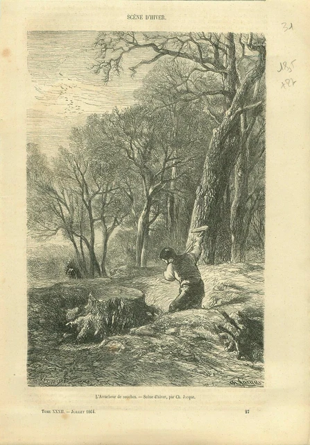 Forestier Arrracheur de Souche d'Arbres de Charles Jacque GRAVURE OLD PRINT 1864