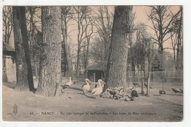 NANCY - CPA 54 - LA PEPINIERE - Coin des Oiseaux Grues Cigognes Pélican