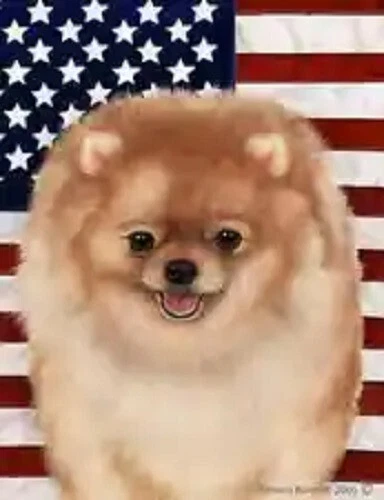 Patriotic (D2) Garden Flag - Orange Pomeranian 323311