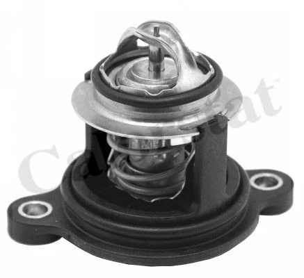 Calorstat by Vernet Termostato Refrigerante Th7335.50J per Ford Fiesta VI + 12->