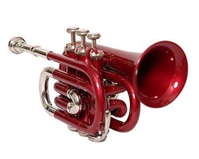 Naad Trompette Piccolo en laiton et finition nickel Pas si bémol avec étui rigide et embouchure. 