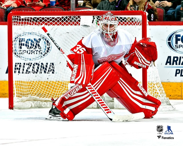 Jimmy Howard Detroit Red Wings Unsigned White Jersey in Net 8" x 10" Photo