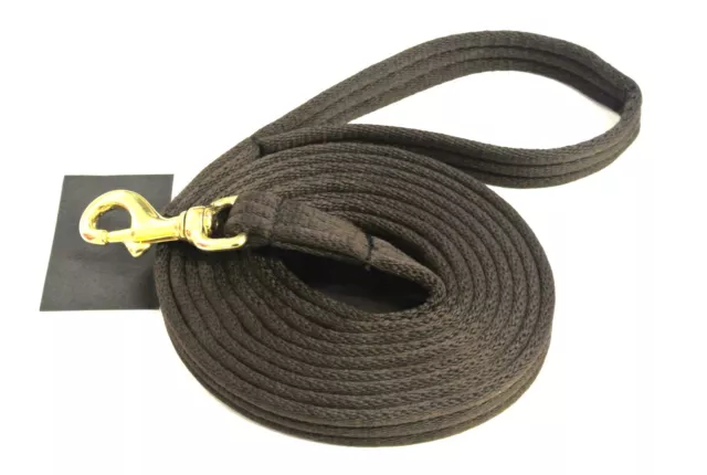 Pferd Lunge Line große Hundetrainingsblei 20 mm 25 mm Luftgurt Massiv Messing Clip 3