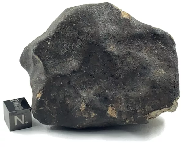 Meteorite  Beni M’hira 284g ( Chondrite L6). 3