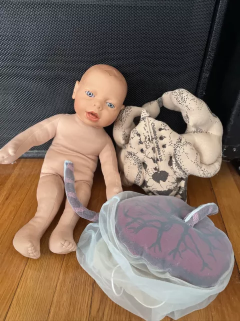 Vintage 1990 Childbirth Graphics Model Fetus 17” Doll Umbilical Cord Sac Pelvis