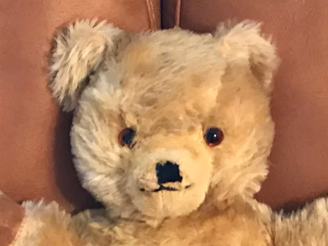 Superb Cute Vintage 1960s Chad Valley Chiltern 15" Soft Golden Mohair Teddy Bear 2