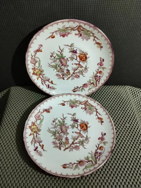 Set of 2 Antique Sarreguemines Porcelain Plates with Floral Motifs