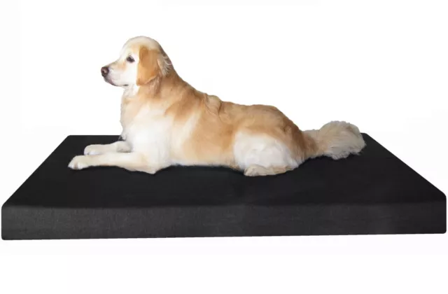 Jumbo Black Canvas Pet Dog Bed Orthopedic Waterproof Memory Foam 55x47X4 Large