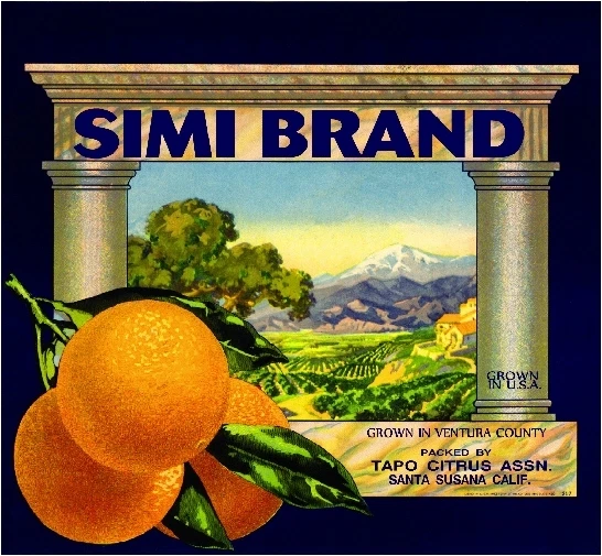 Orange Fruit Label Stock Photo