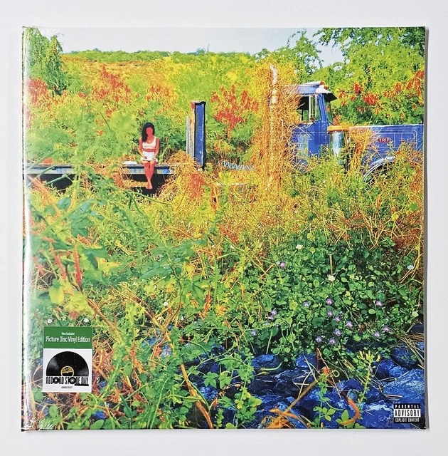 JHENE AIKO TRIP USA 2LP Picture Disc Vinyl RSD Record Store Day