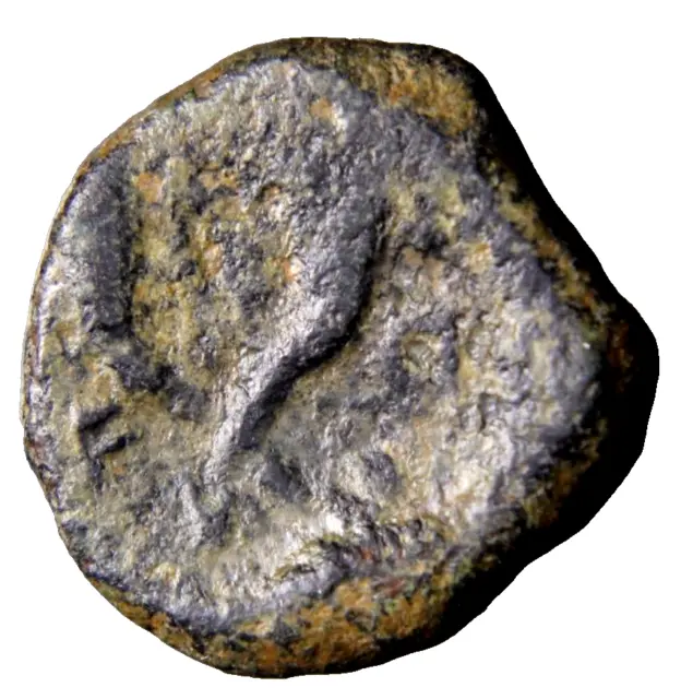 NABATAEA. Syllaios. Usurper, 9-6 BC. Æ (16mm, 3.69 g). Diademed  Greek Coin wCOA