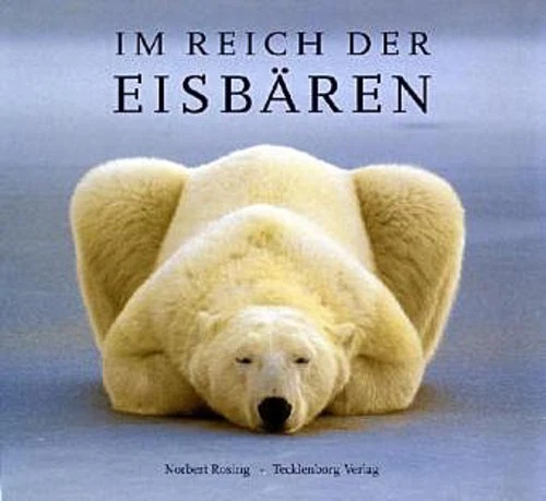 Eisbären Norbert Rosing