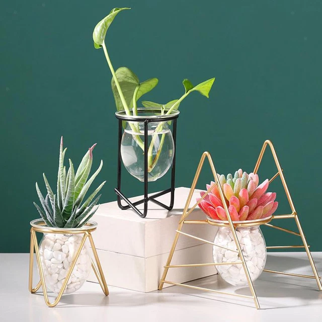 BESTonZON 3 Pièces Vases Hydroponiques Suspendus Transparents - Décoration Plantes Et Fleurs D'Intérieur