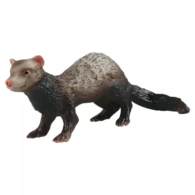 Figurines réalistes de furet jouet animaux Figures Science jouet éducatif