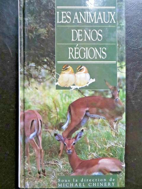 Les plus beaux oiseaux de nos régions
