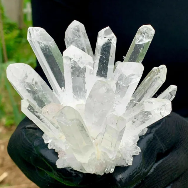 New Find white Phantom Quartz Crystal Cluster Mineral Specimen Healing 300g+/1pc 2